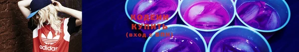 дмт Горняк