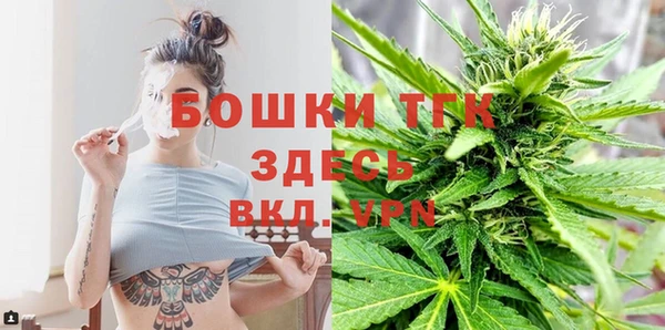 дмт Горняк