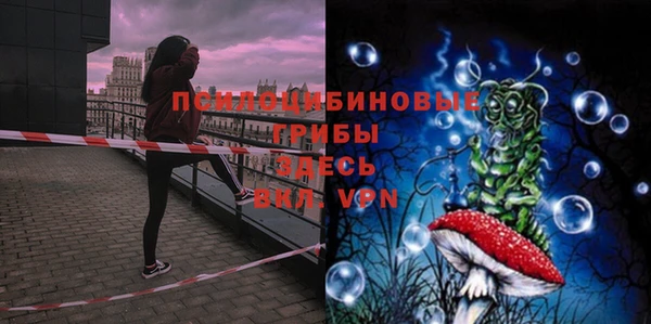 ECSTASY Горнозаводск