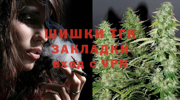 дмт Горняк