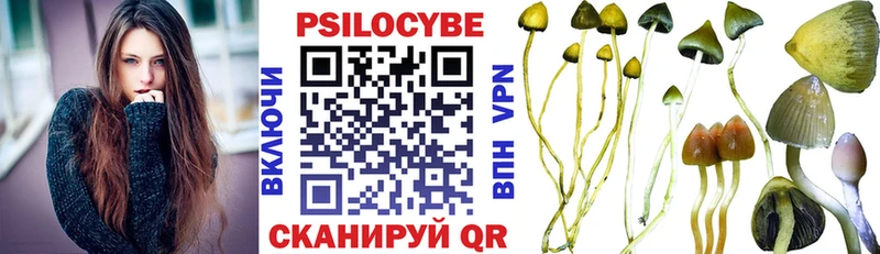 Купить закладки  Ивантеевка  Галлюциногенные грибы GOLDEN TEACHER 